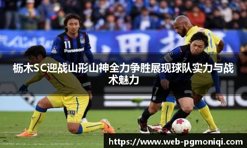 PG模拟器免费
