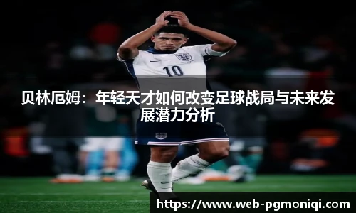 PG模拟器